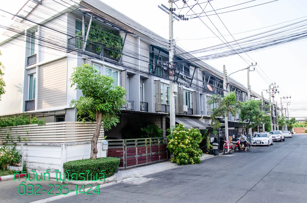 แนวทาวน์โฮม Areeya Daily และถนนภายในโครงการ
